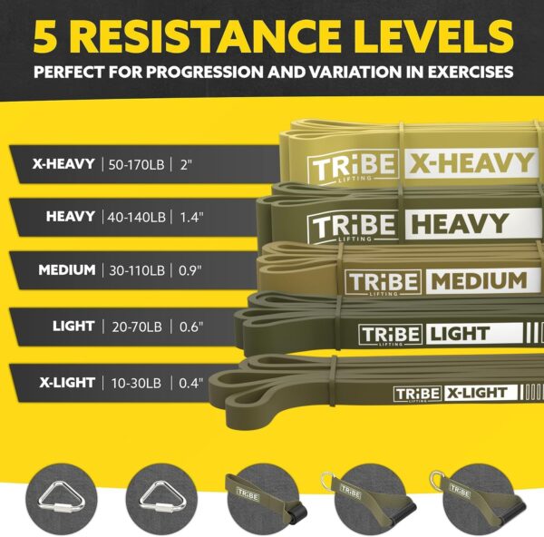 Long Resistance Bands for Working Out Men and Women - Set of 5 Pull-Up Bands, Rubber Handles and Door Anchor - Workout Bands Resistance for Men - Exercise Bands Resistance Bands Set - Image 2