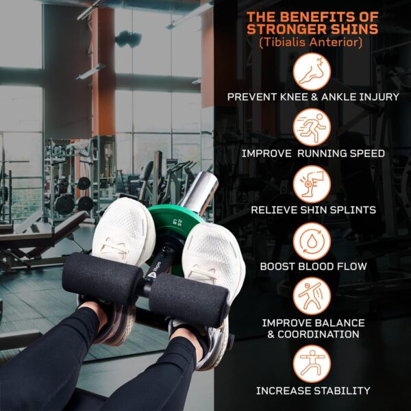 LifePro Nordic Curl Workout Bench Home Gym Hamstring Machine & Tibialis Trainer - Strengthen Ankles, Improve Flexibility, Balance & Stability for Faster Running, Walking & Enhanced Movement Control - Image 2